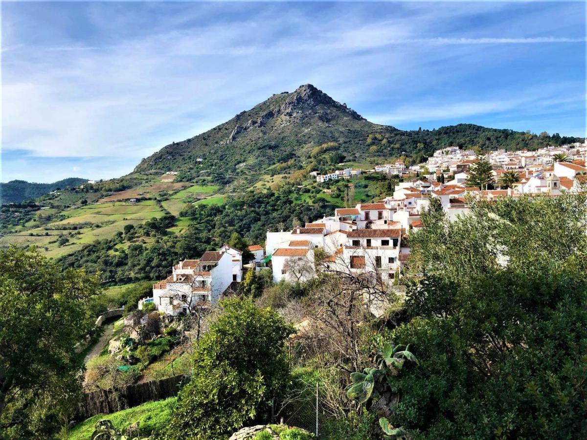 Nilva Mountain - Manilva Villa Екстериор снимка